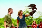 Wildpark