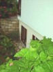 Thumbs/tn_211.jpg