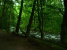 Thumbs/tn_e019.jpg