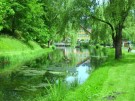 Thumbs/tn_e041.jpg