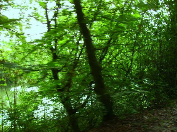 ../Images/kj_008.jpg