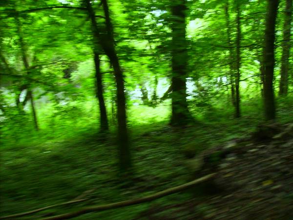 ../Images/kj_016.jpg