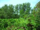 Thumbs/tn_kj_041.jpg